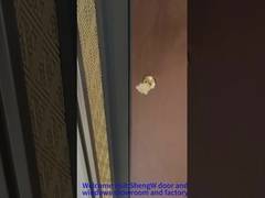 Porte pivotante avant en aluminium