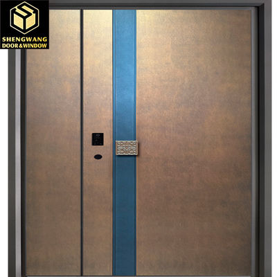2.05M Meubles de porte Porte d'entrée en acier inoxydable Porte extérieure en acier personnalisable